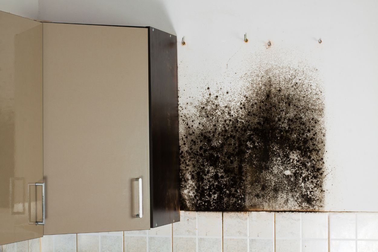 A kitchen featuring mold on the walls and cabinets, illustrating the necessity for black mold removal in Honolulu, HI.