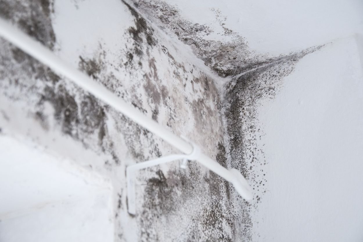 A white pipe on a moldy wall, representing the attic mold removal service available in Honolulu, HI.