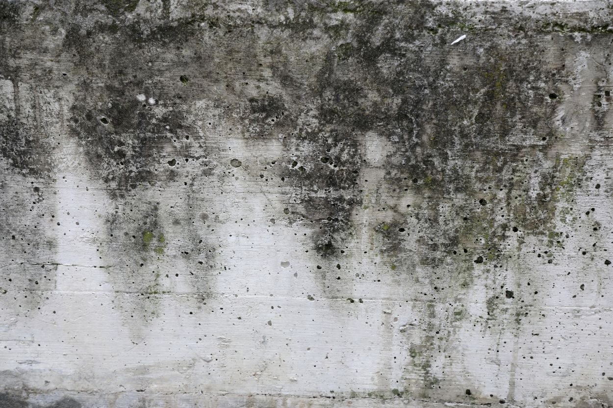 A wall displaying extensive holes and cracks, indicating potential mold issues, relevant to mold removal services in Honolulu, HI.