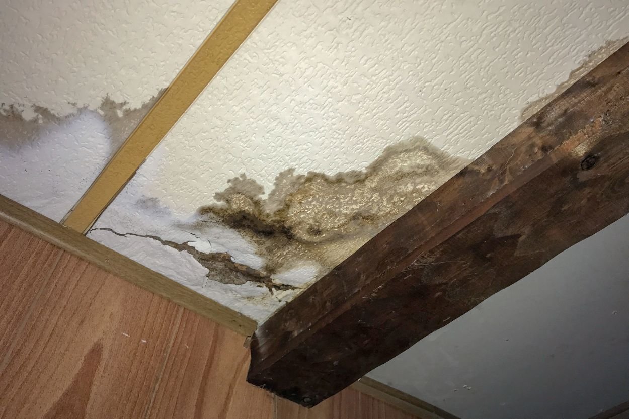 A damaged room ceiling with mold growth, emphasizing the importance of mold removal services available in Honolulu, HI.