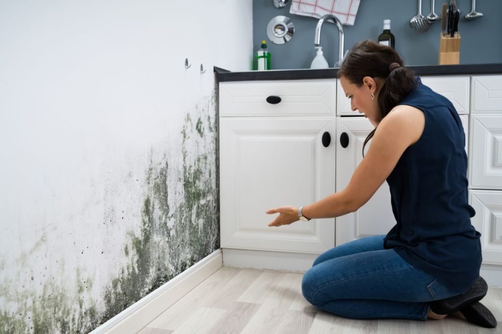A woman kneels on the kitchen floor, inspecting mold on the wall, highlighting the need for mold removal services.
